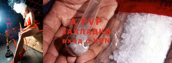apvp Кукмор