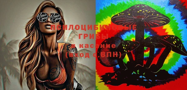 эйфоретик Кулебаки