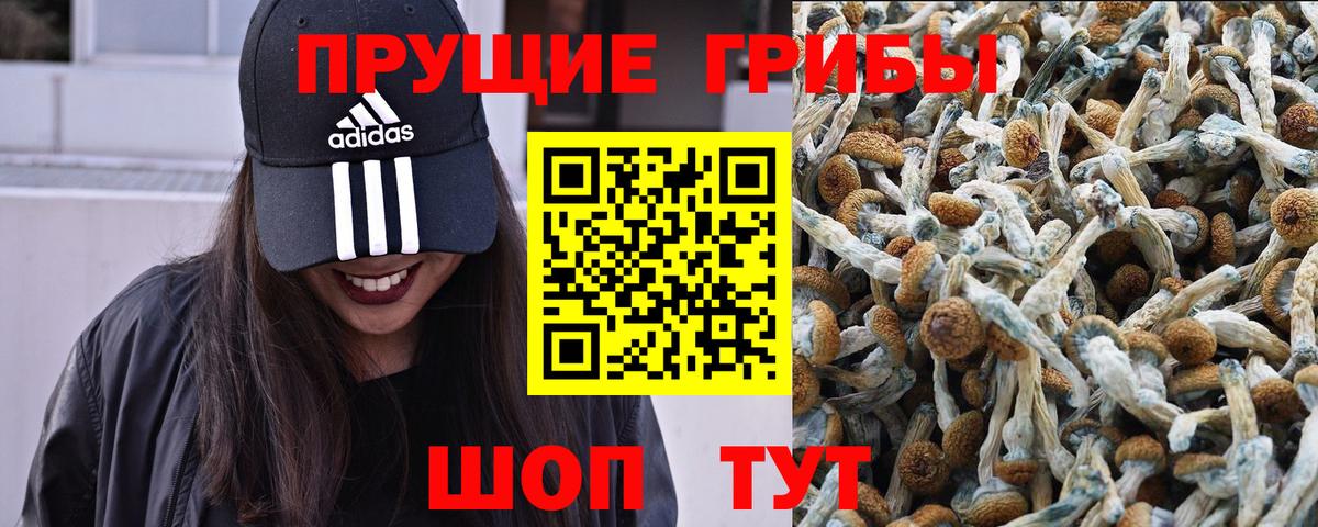 Псилоцибиновые грибы прущие грибы Черемхово