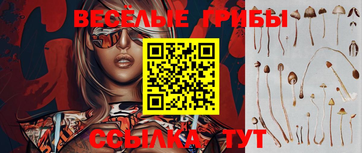 Псилоцибиновые грибы Cubensis  Вход с VPN  Черемхово 